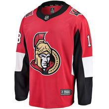 Load image into Gallery viewer, Ryan Dzingel Ottawa Senators Player Swingman Jersey