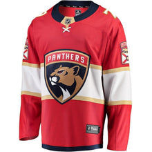 Load image into Gallery viewer, Colton Sceviour Florida Panthers Player Swingman Jersey
